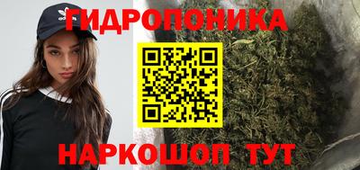 СК Аргун